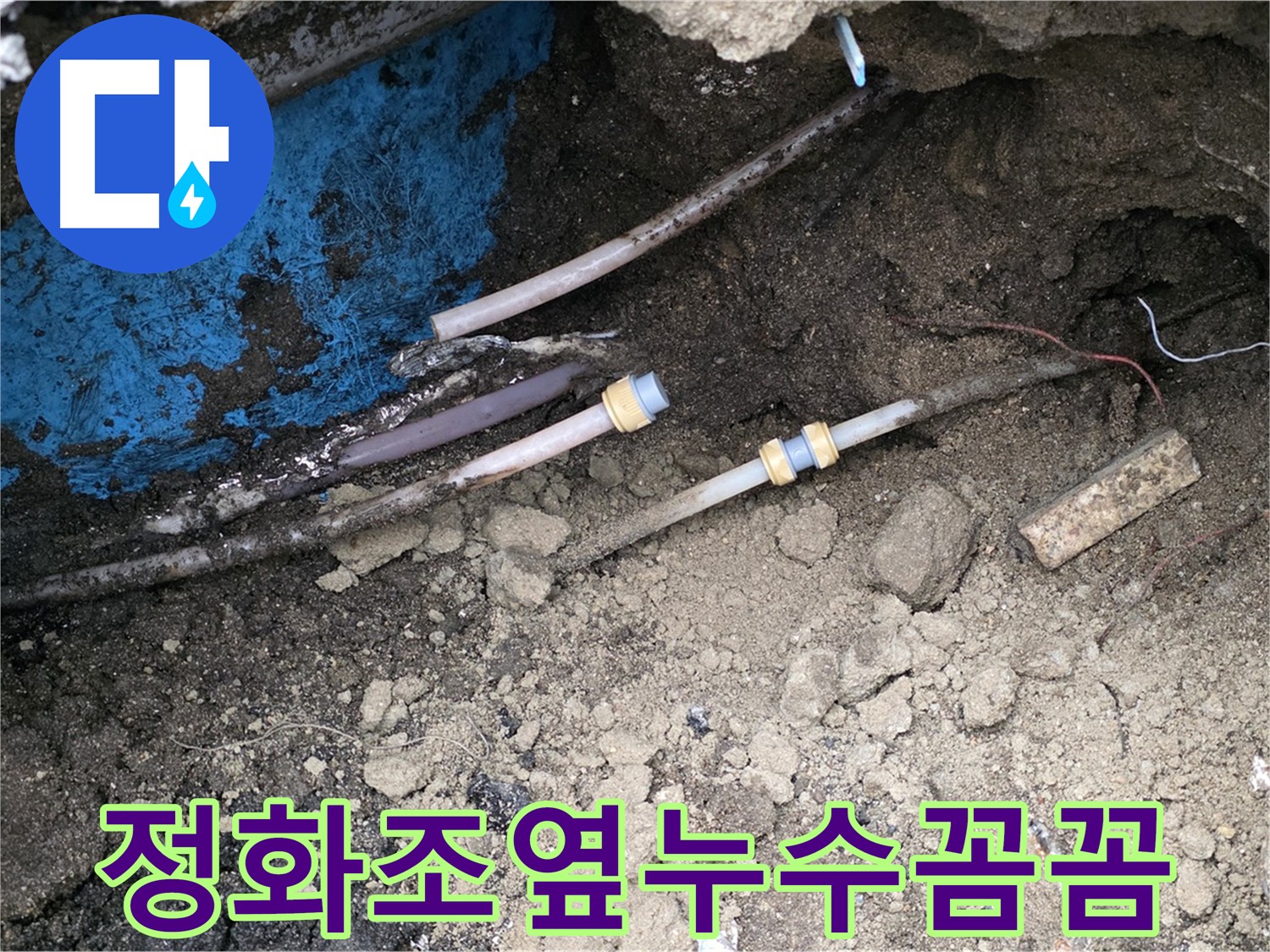 정화조 옆 누수 지점 - 굴착 시 정화조 손상 주의가 필요한 호원동 누수 현장