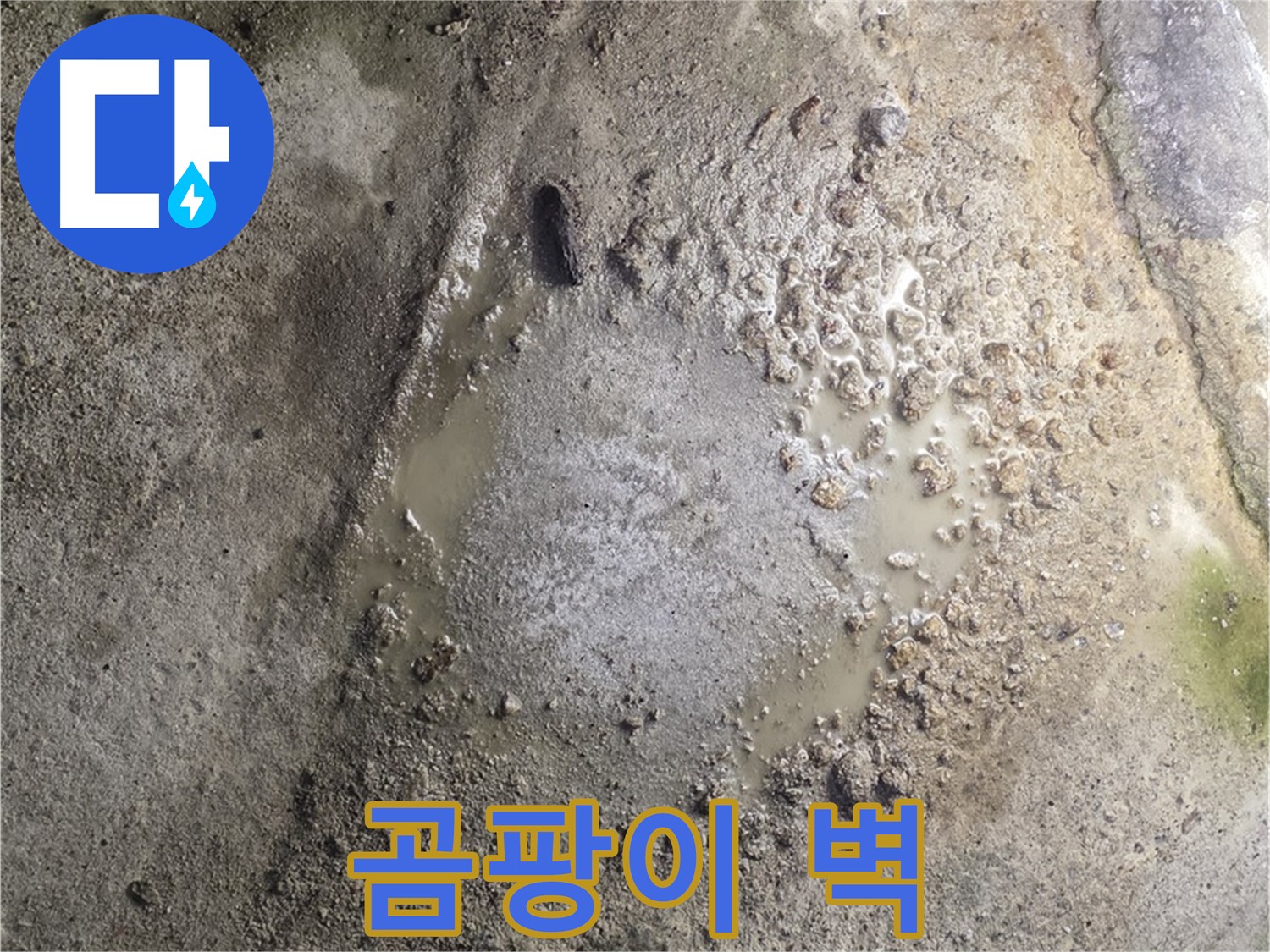 철원군 서면 와수리 누수 - 곰팡이 슨 벽은 누수 해결이 최우선입니다 - 건강을 위해 빠른 조치가 필요합니다.