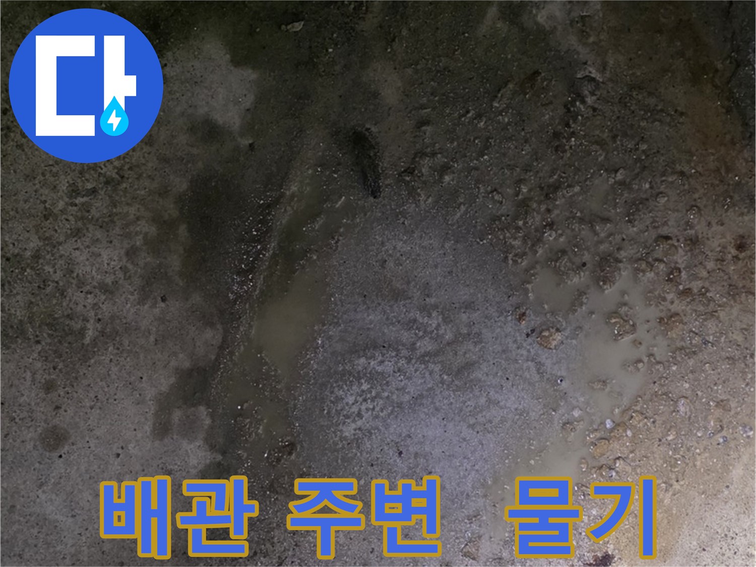 철원군 서면 와수리 누수 현장 - 배관 주변에 물기가 있는 것은 누수가 발생하고 있다는 신호입니다.