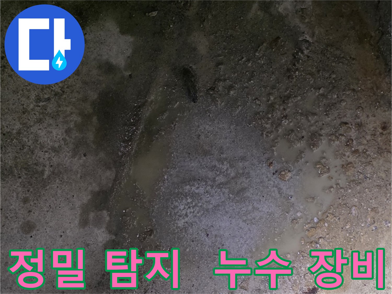 철원군 서면 와수리 누수 현장 - 첨단 장비를 이용한 정밀 누수 탐지 작업 중입니다.