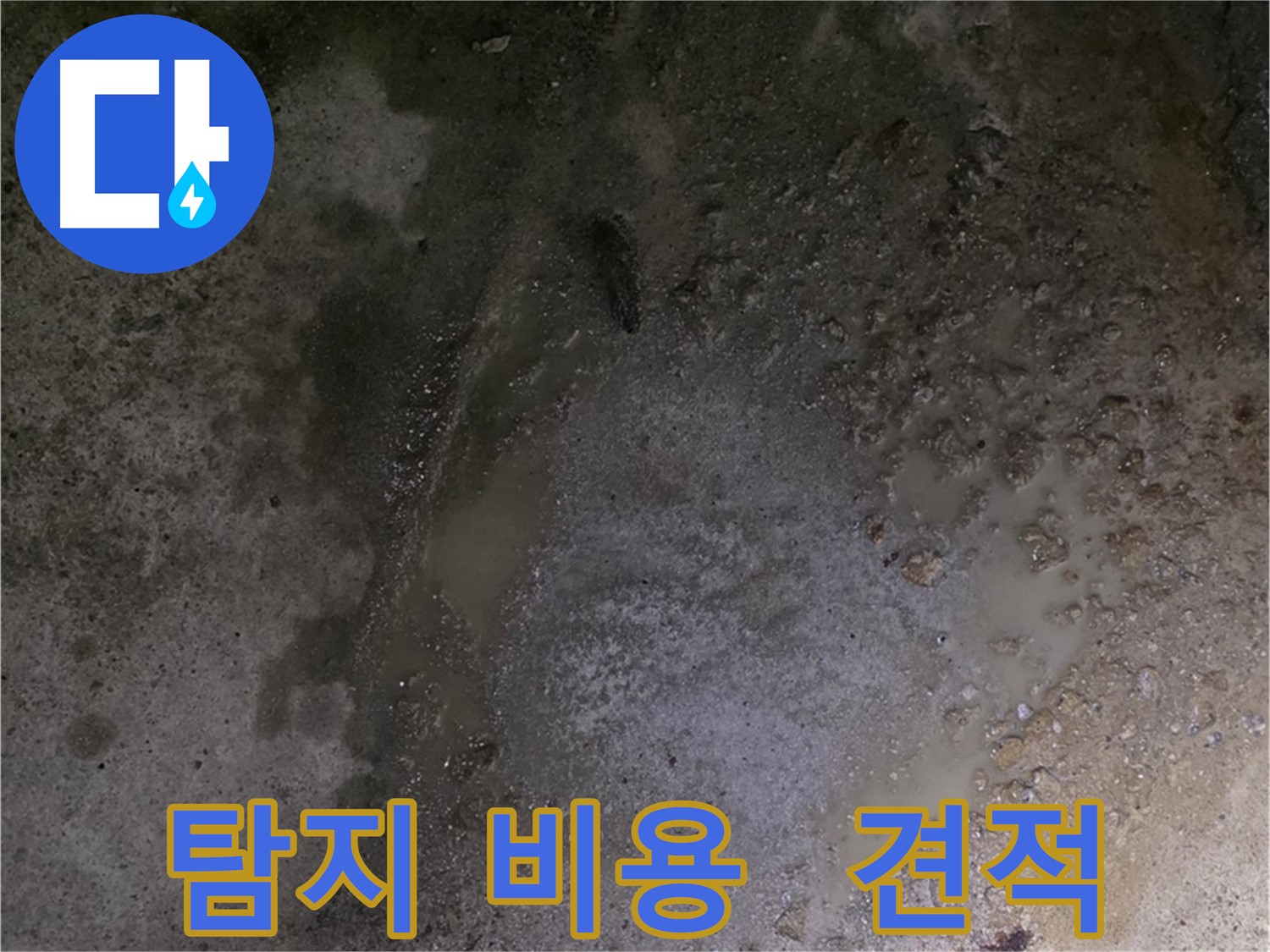 철원군 서면 와수리 누수 현장 - 합리적인 누수 탐지 비용으로 고객님의 부담을 덜어드립니다.