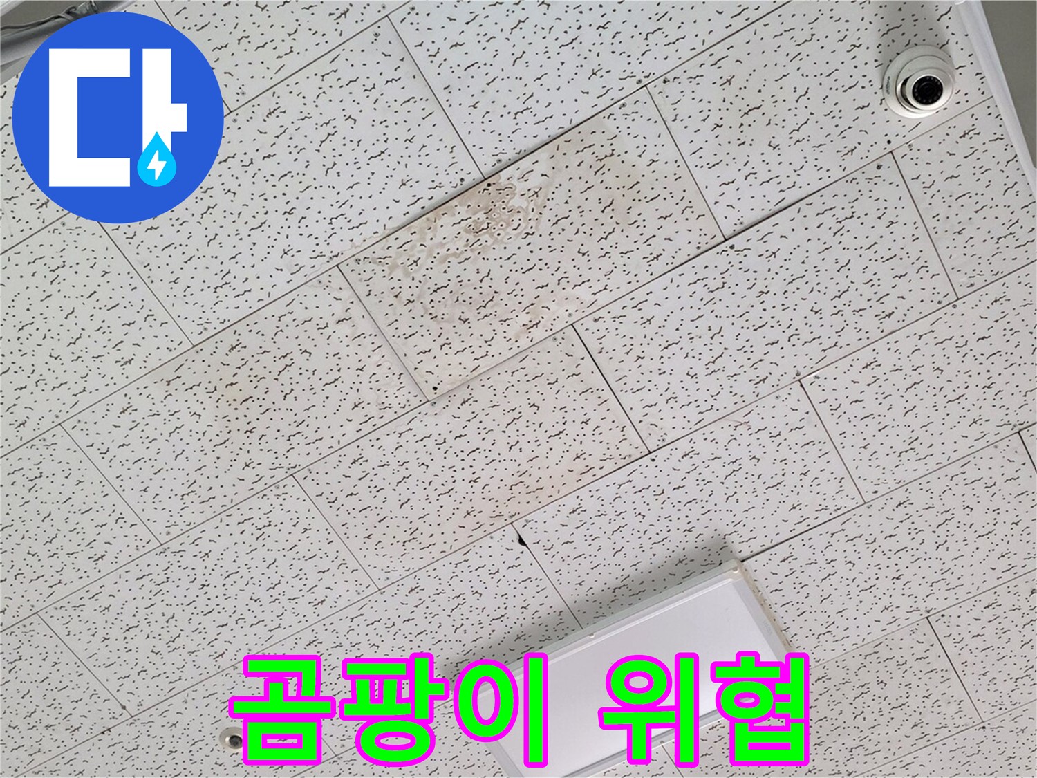 김포 운양동 누수 - 텍스 천장 곰팡이 제거 및 건강을 위한 예방 조치
