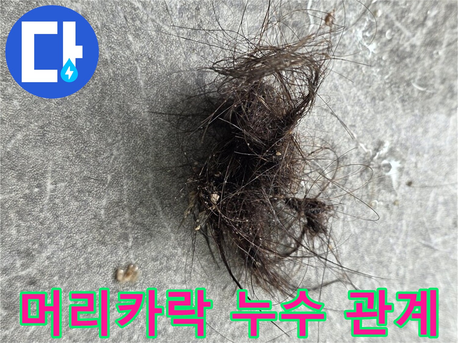 머리카락 누수 관계 - 머리카락과 누수, 숨겨진 관계를 파헤쳐 원인을 분석합니다.