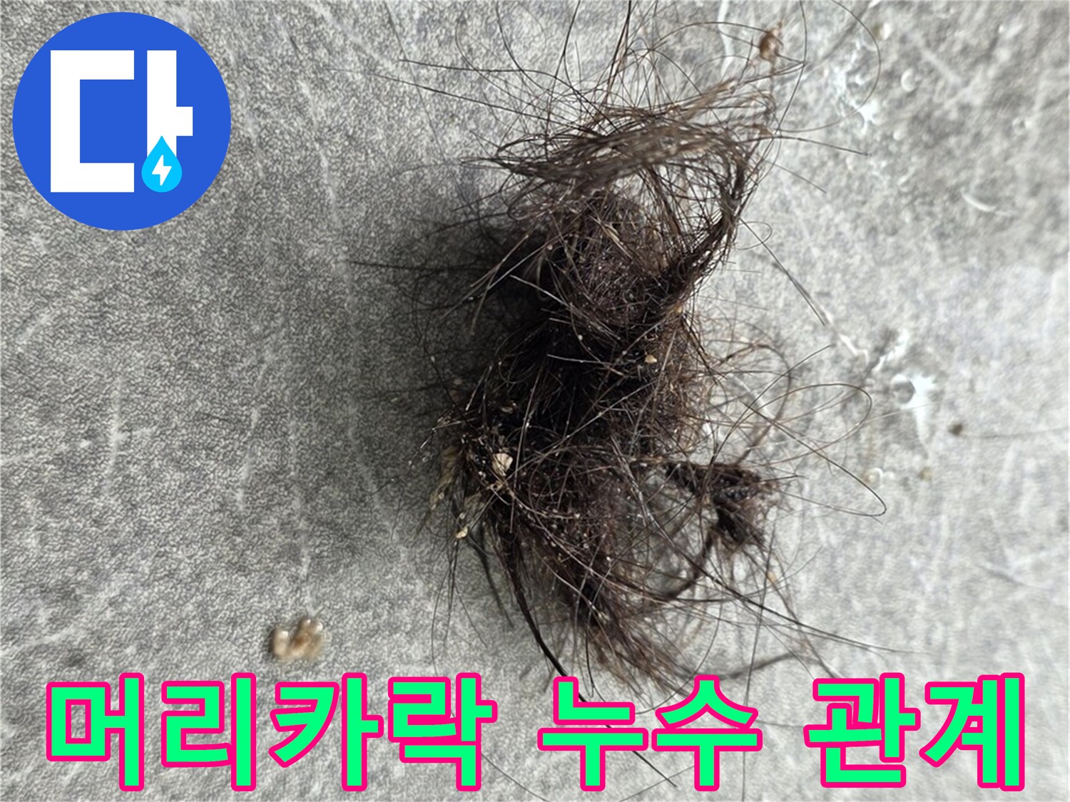 머리카락 누수 관계 - 머리카락과 누수, 숨겨진 관계를 파헤쳐 원인을 분석합니다.