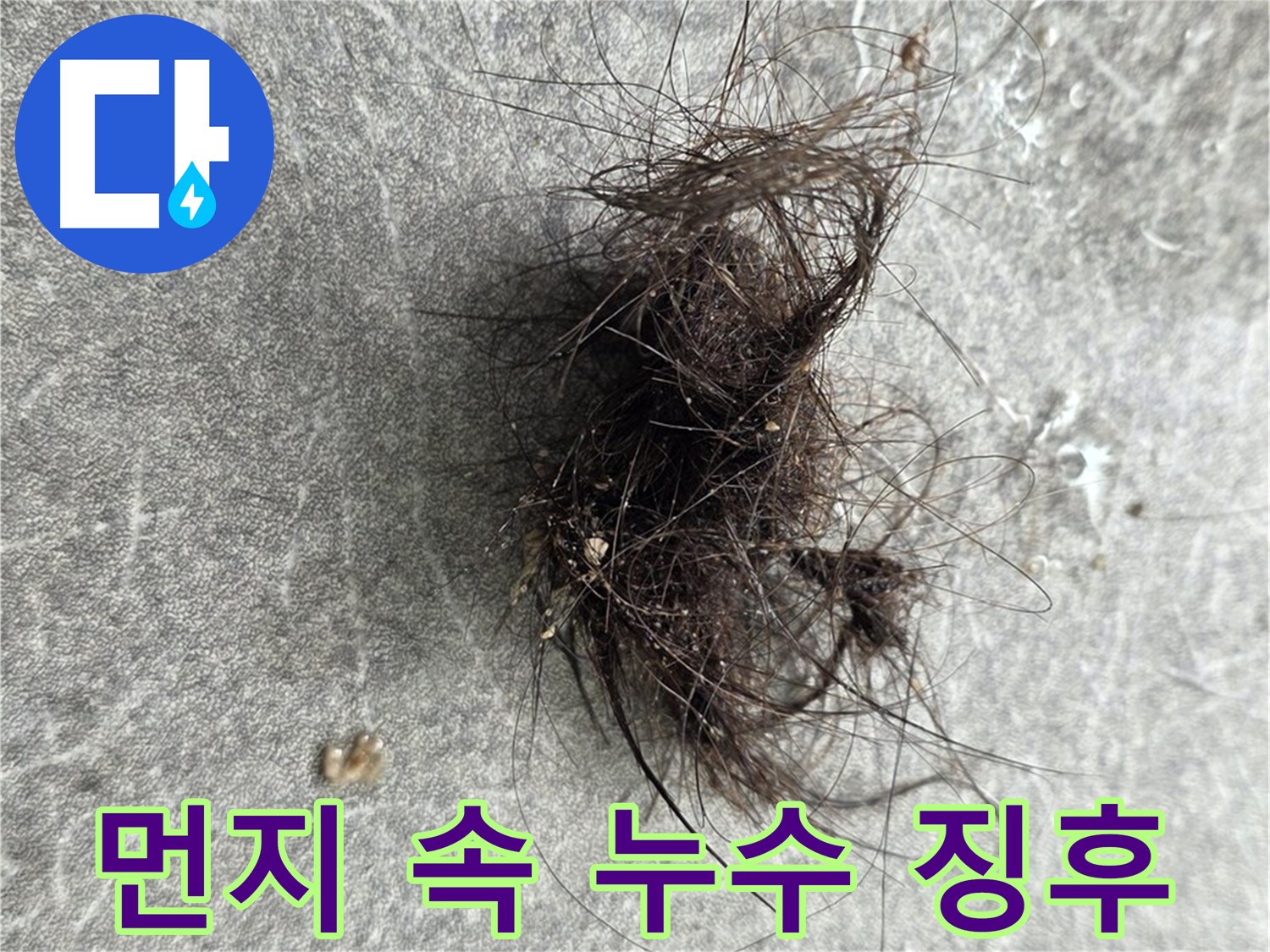 먼지 속 누수 징후 - 작은 먼지 뭉치도 놓치지 않는 꼼꼼한 누수 점검.
