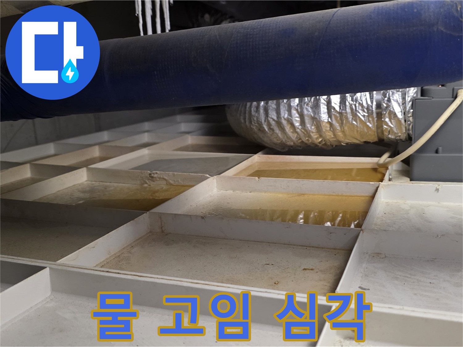 건물 하부 격자 누수 - 물 고임 심각 - 빠른 조치