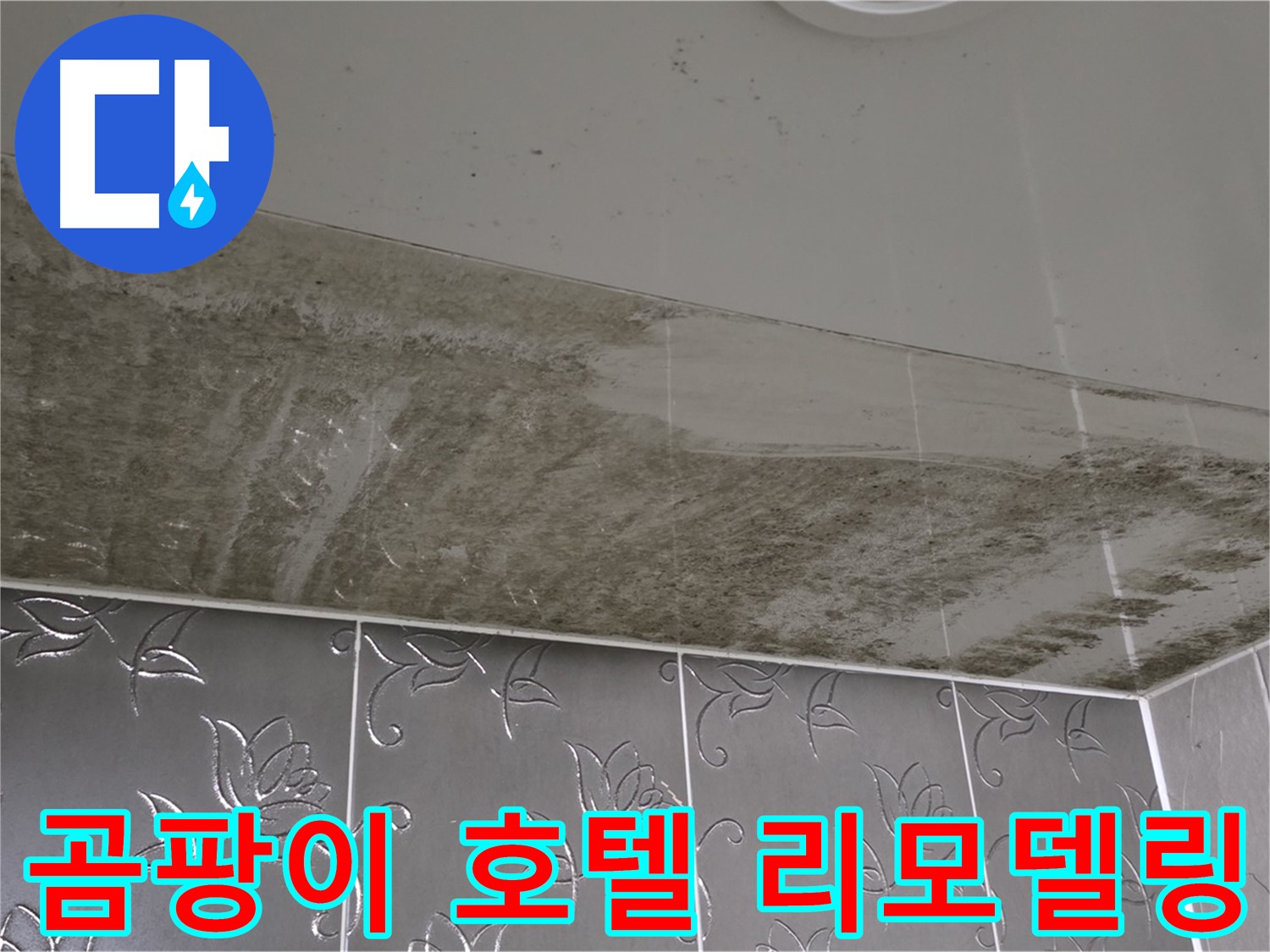 곰팡이 가득한 욕실 - 누수 원인 해결 후 고급 호텔 욕실로 리모델링!
