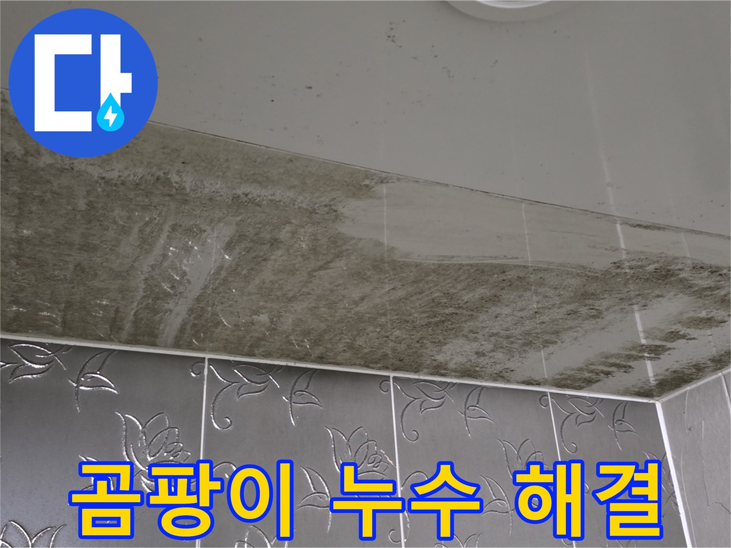 곰팡이 가득한 욕실 - 숨은 누수 지점을 찾아 완벽하게 해결!