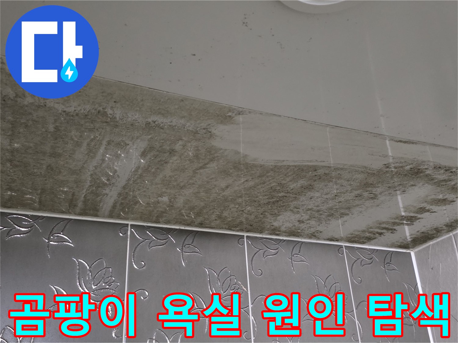 곰팡이 가득한 욕실 천장 - 숨겨진 누수 원인을 찾기 위한 정밀 탐색!