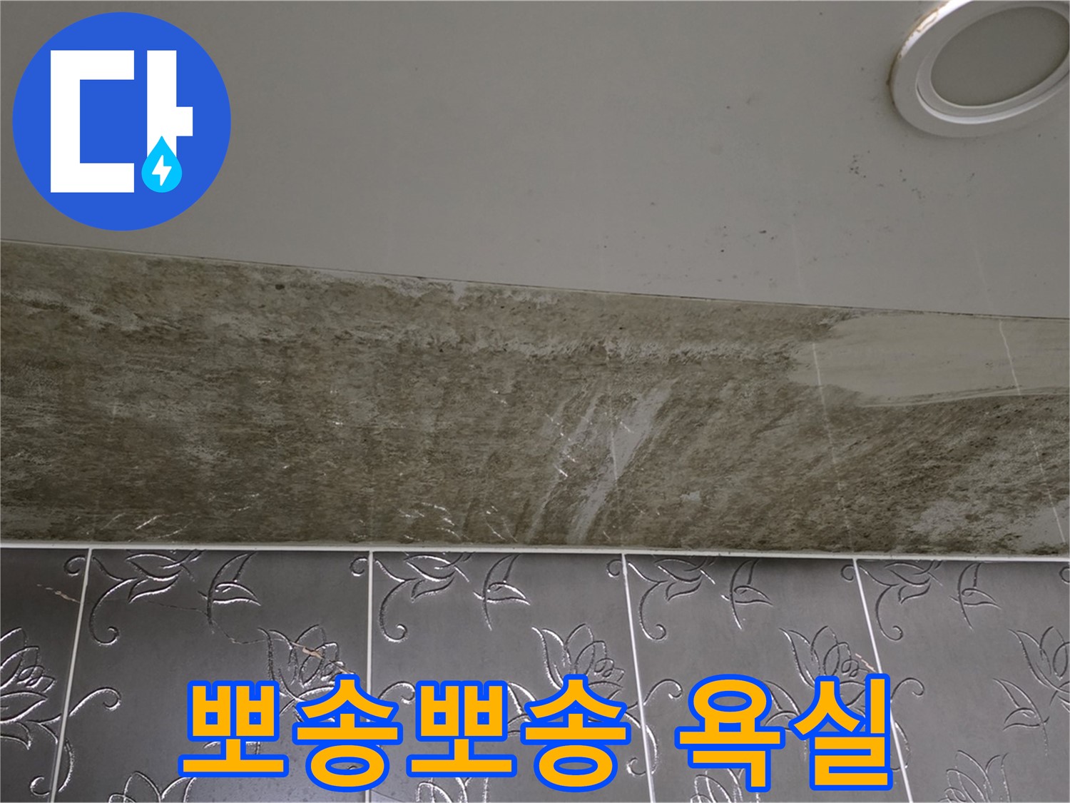 곰팡이 핀 화장실 천장 - 곰팡이 OUT, 뽀송뽀송 욕실 완성