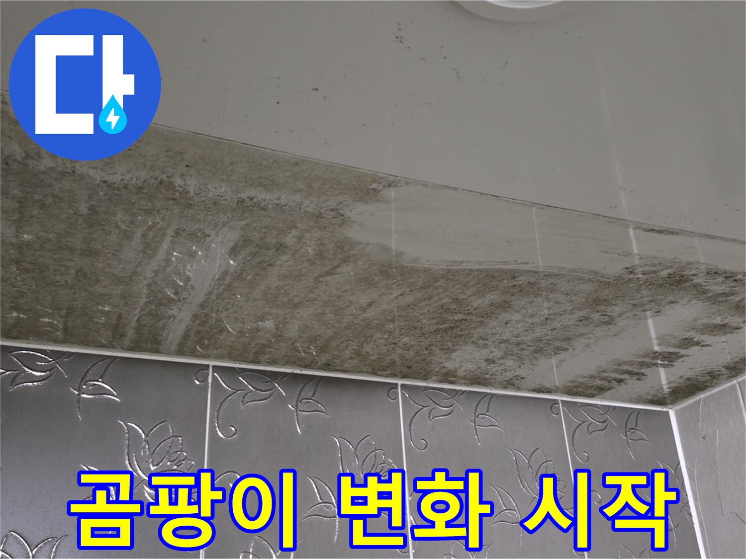 곰팡이로 얼룩진 욕실 천장 - 누수 원인 해결 후 놀라운 변화 시작!
