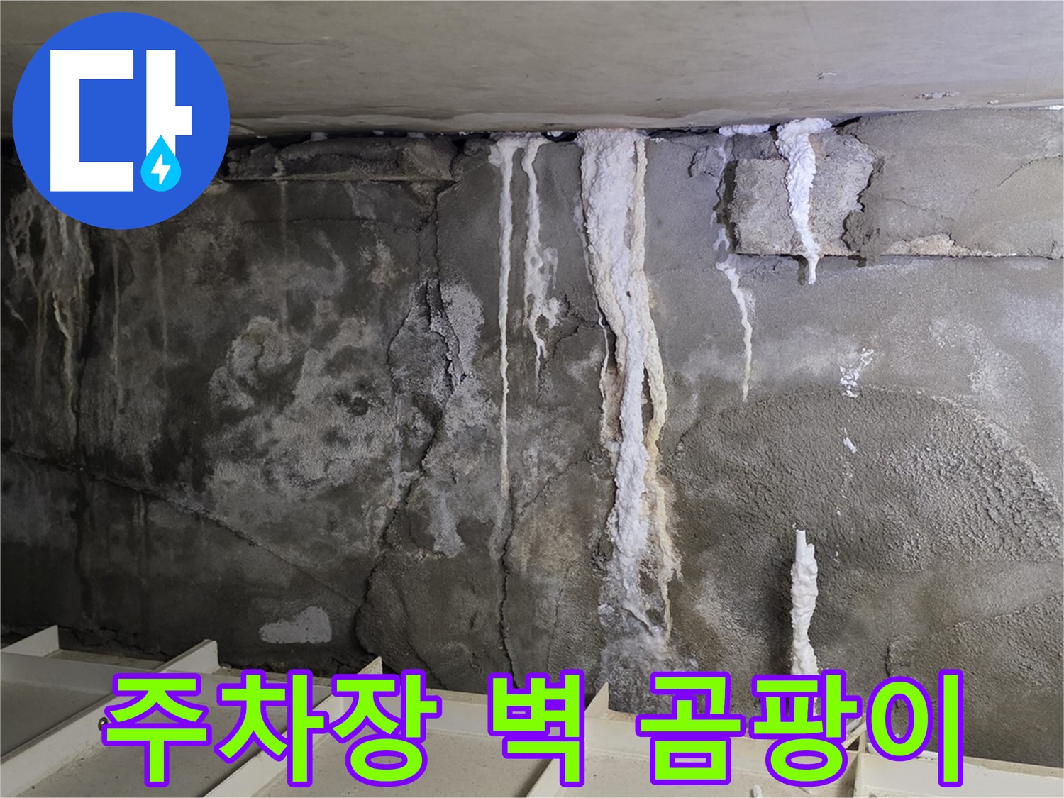 누수로 인한 주차장 벽 곰팡이 - 건강 위협, 누수 해결