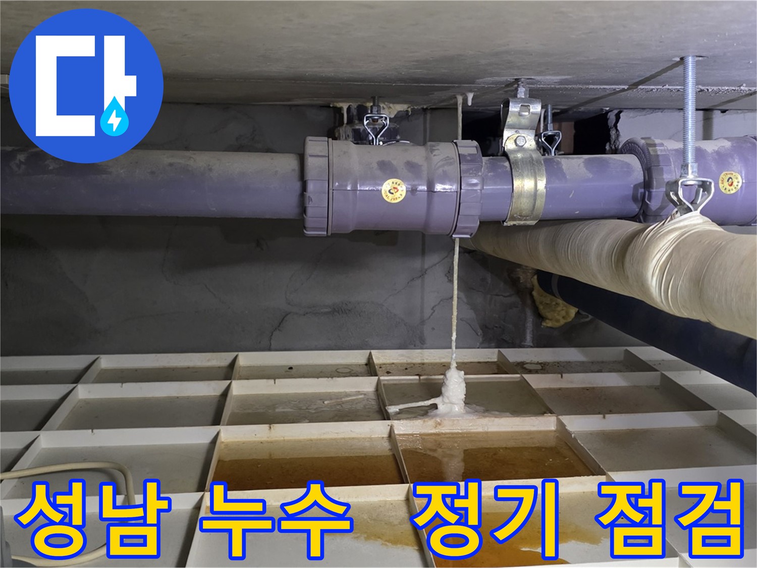 성남 오수 누수 - 배관 연결 부위 노후, 정기 점검으로 쾌적한 환경 유지