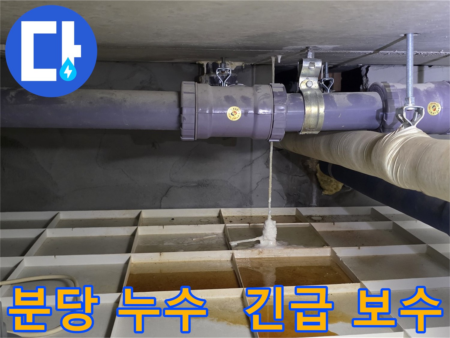 분당 산운마을 배관 누수 - 연결 부속 미세 손상, 특수 접착제로 긴급 보수