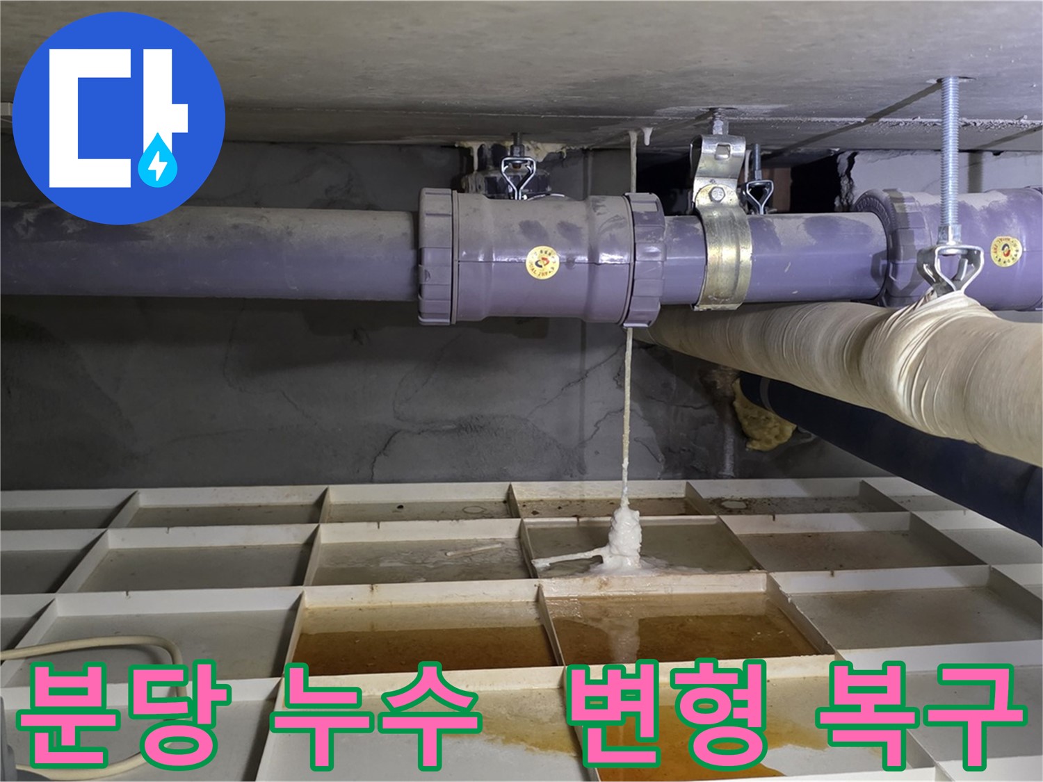 분당 산운마을 배관 누수 - 연결부 변형, 전문 장비로 완벽 복구 작업