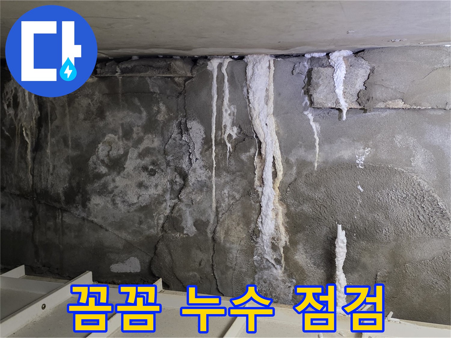 분당 운중동 건물 누수 - 콘크리트 누수 - 꼼꼼 점검 진행중