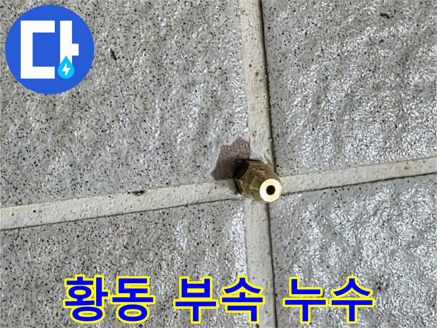분당 운중동 누수 - 문제의 작은 황동 부속에서 누수가 발생했습니다.