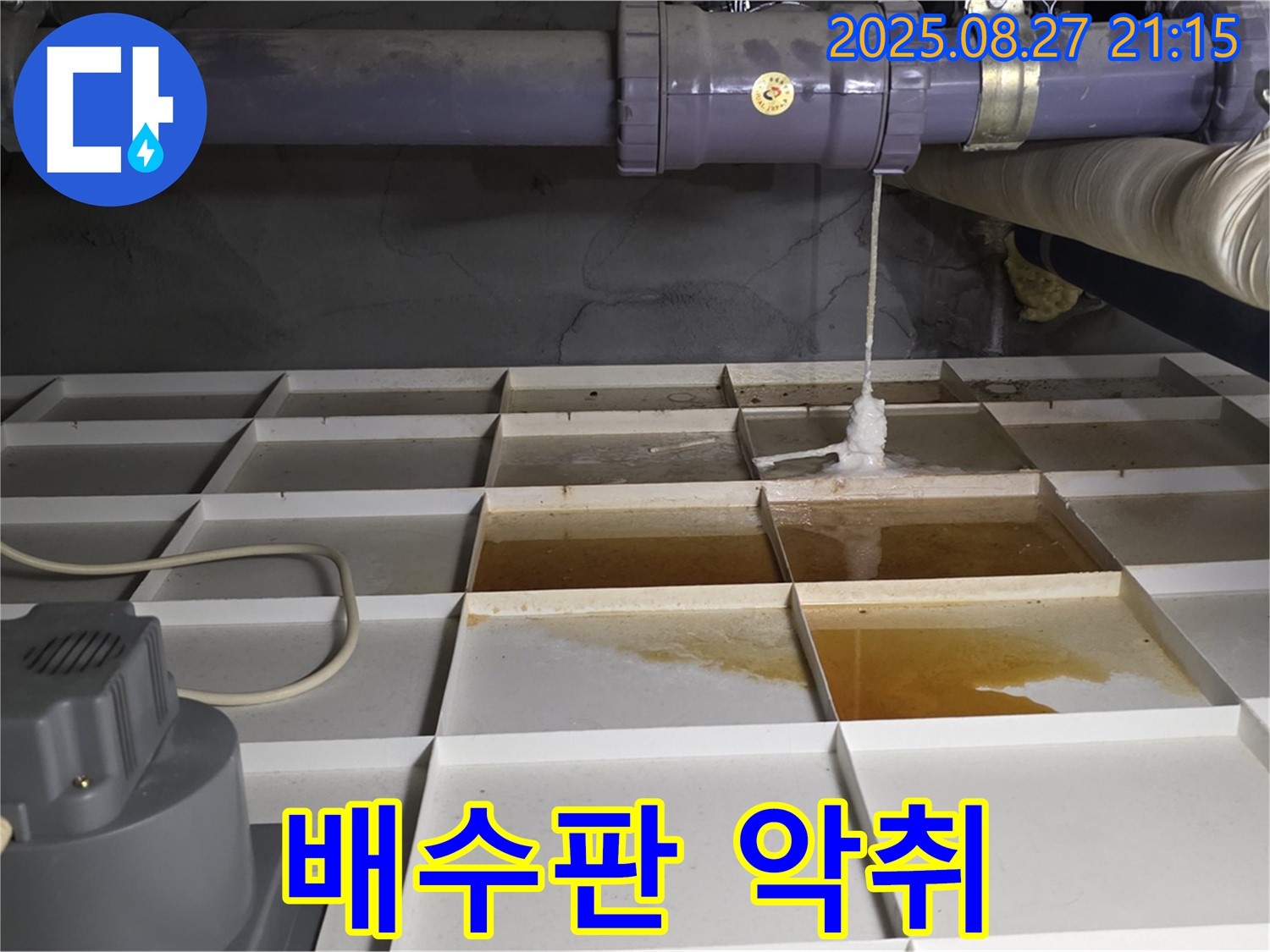 분당 운중동 산운마을 - 배수판 위의 누런 물과 악취 - 불쾌한 환경을 만듭니다.