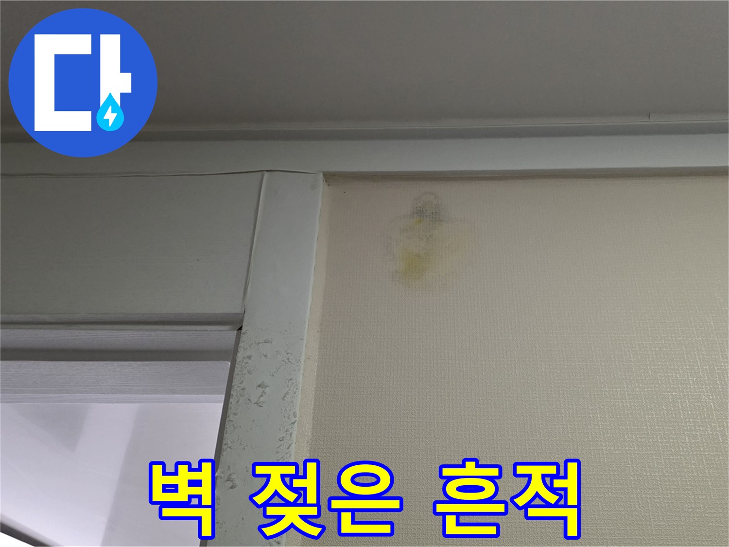 분당 운중동 산운마을 아파트 벽 젖은 흔적 - 누수 가능성 진단 및 습도 측정