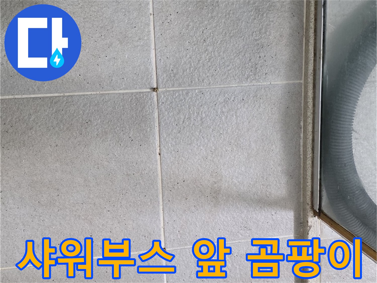 분당 운중동 욕실 샤워부스 앞 - 타일 틈새 검은 곰팡이는 습기와 누수의 신호입니다.