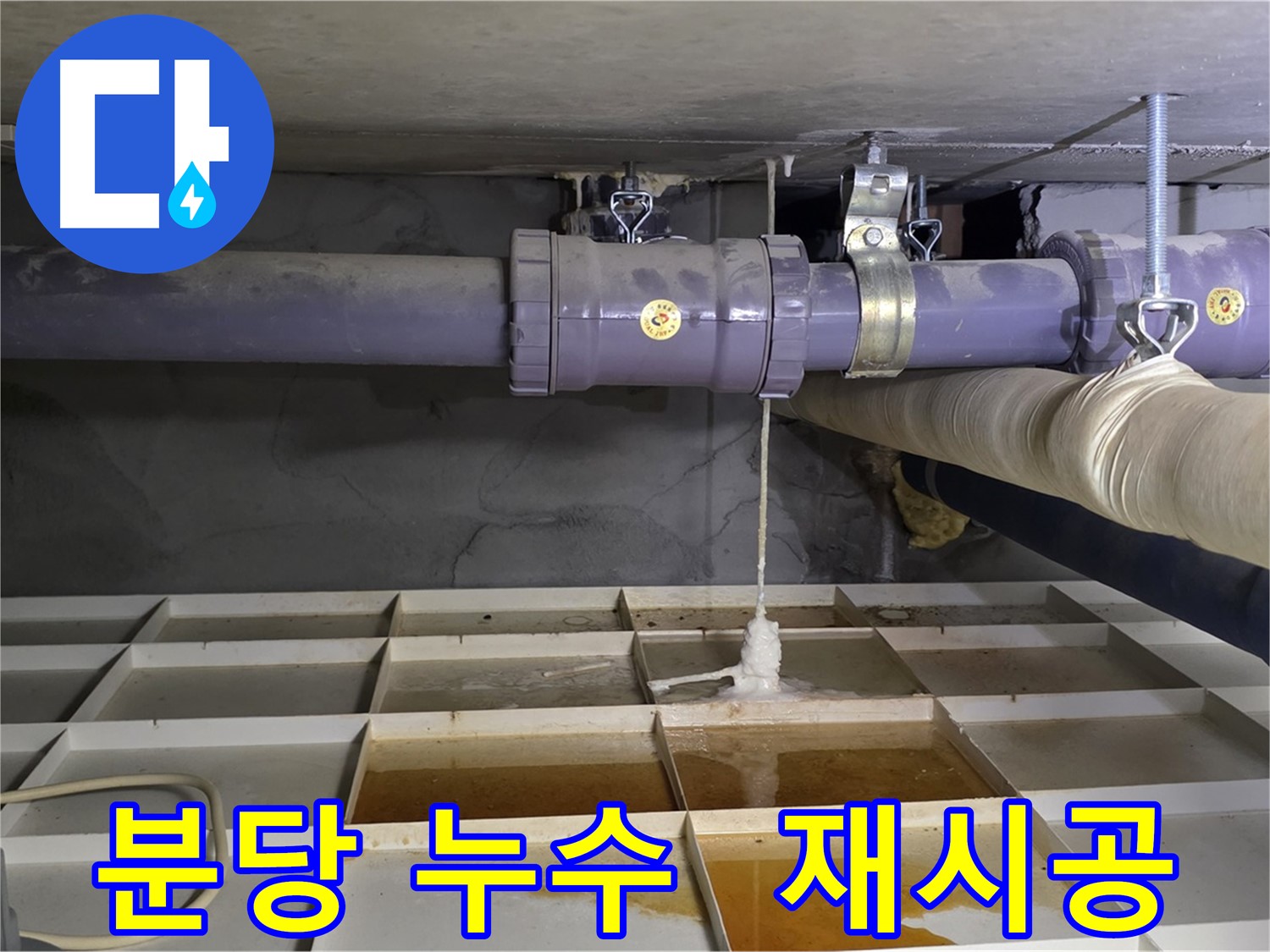 분당 하수 배관 누수 - 연결 불량, 꼼꼼한 재시공으로 악취까지 해결