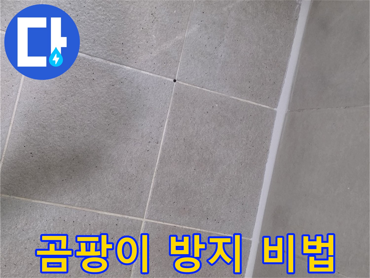 샤워부스 실리콘 시공 후 곰팡이 방지 팁 - 쾌적한 욕실 유지
