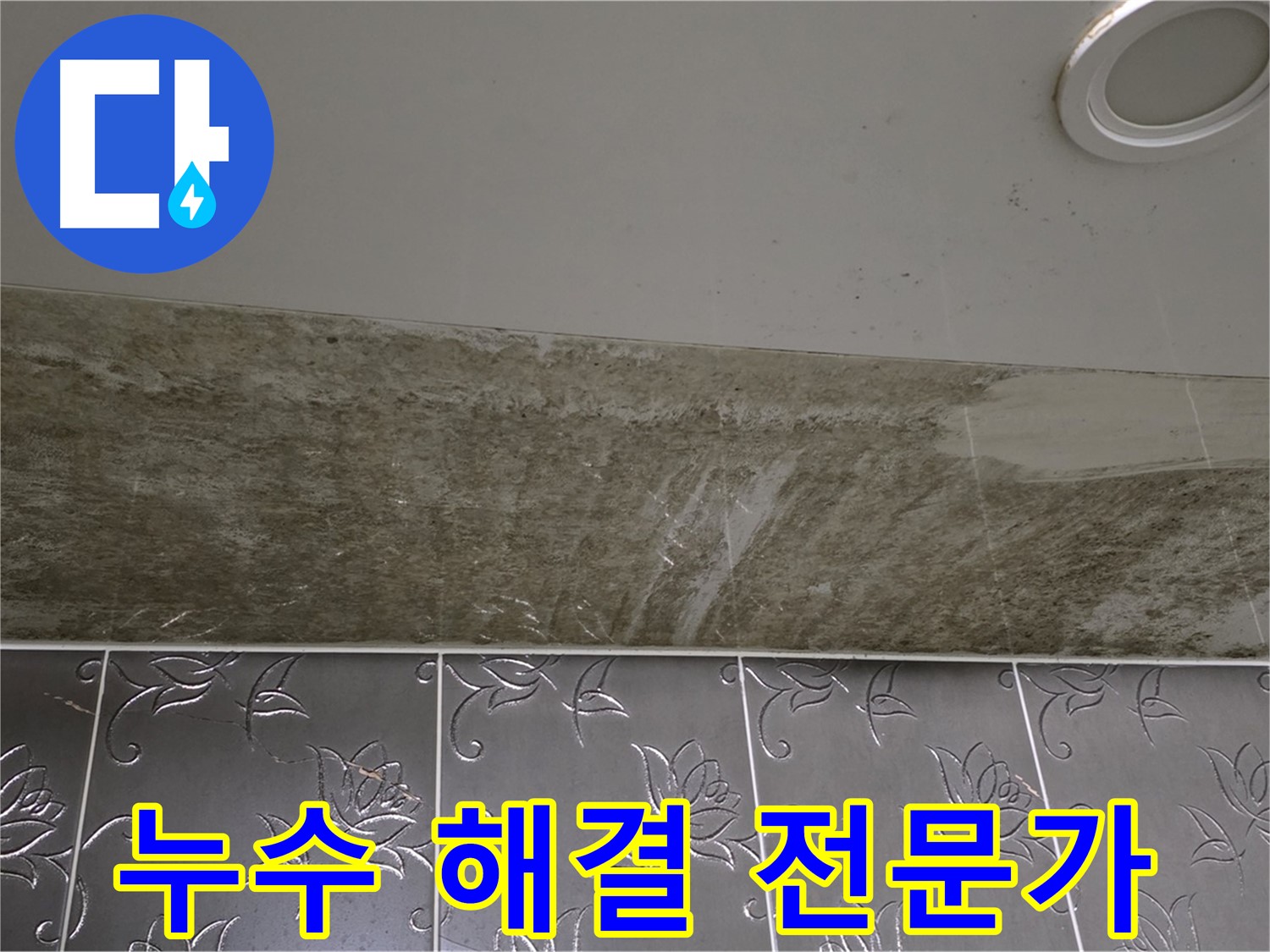 곰팡이로 뒤덮인 화장실 천장 - 누수 해결 전문가 방문