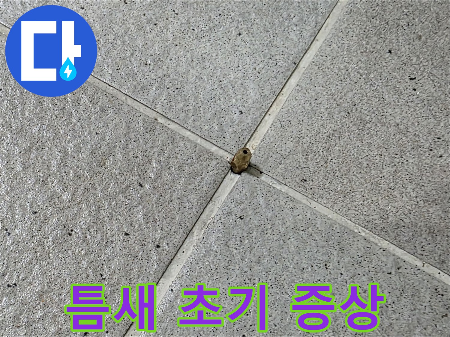 성남 분당 산운로 아파트 - 타일 틈새 누수, 초기 증상부터 잡아야 합니다.
