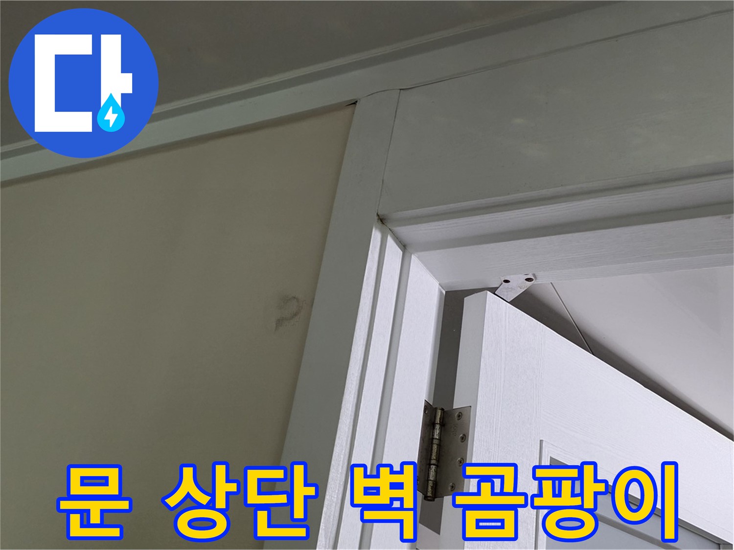 성남 분당 운중동 산운마을 - 문 상단 벽 모서리에 핀 곰팡이 - 꼼꼼한 점검으로 누수 원인을 파악하고 해결합니다.
