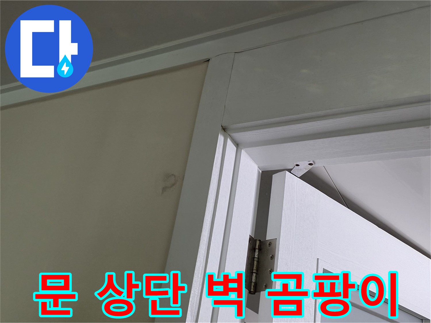 성남 분당 운중동 산운마을 - 문 상단 벽 모서리에 핀 곰팡이 - 꼼꼼한 점검으로 누수 원인을 파악하고 해결합니다.