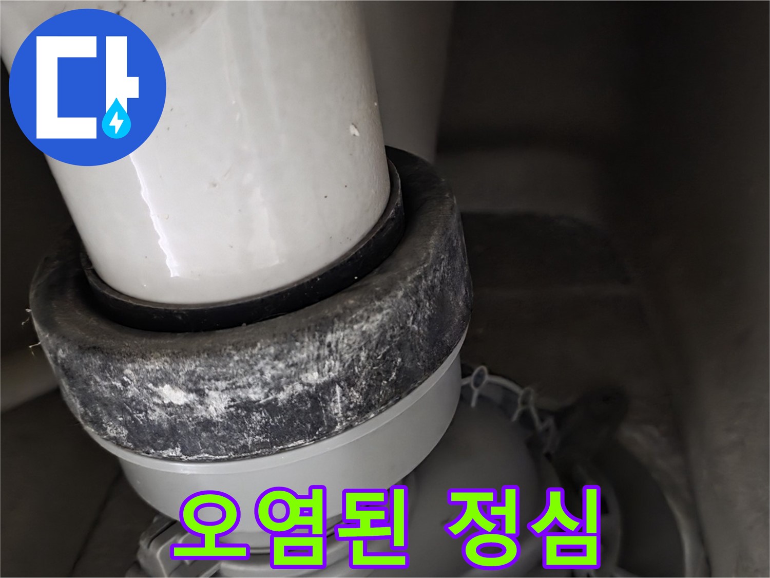 성남 분당 운중동 산운마을 변기 누수 - 오염된 정심 상태를 자세히 보여드립니다