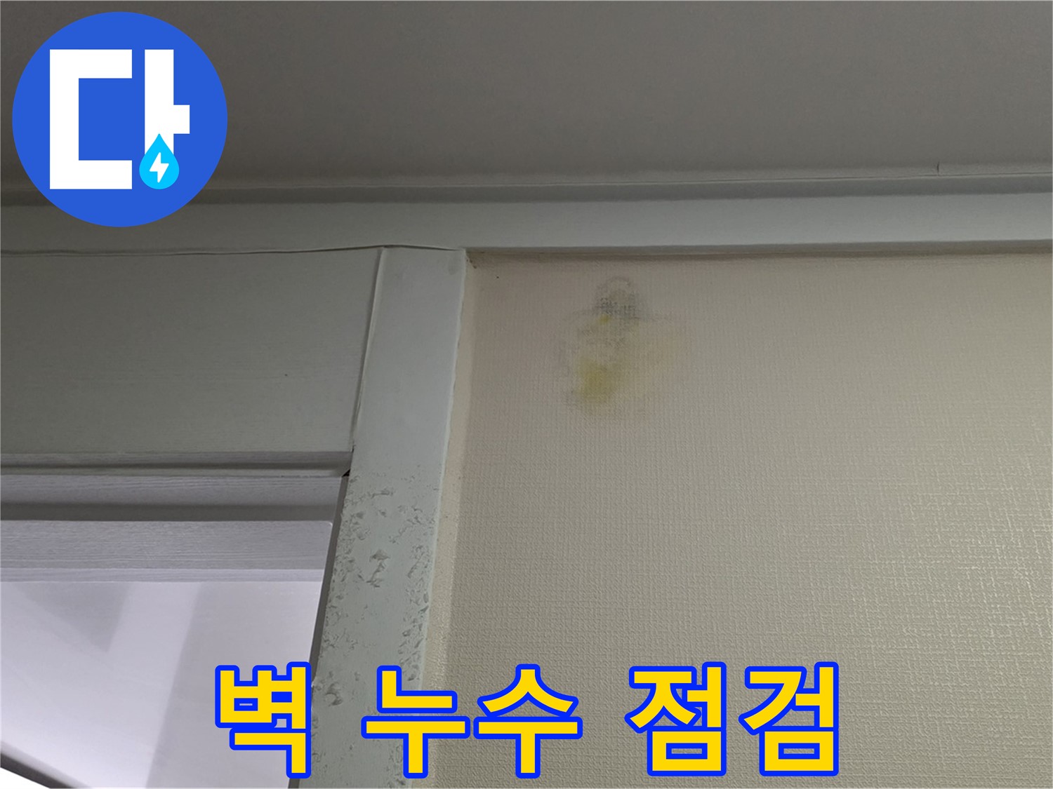 성남 분당 운중동 산운마을 아파트 벽 누수 흔적 - 신속 점검