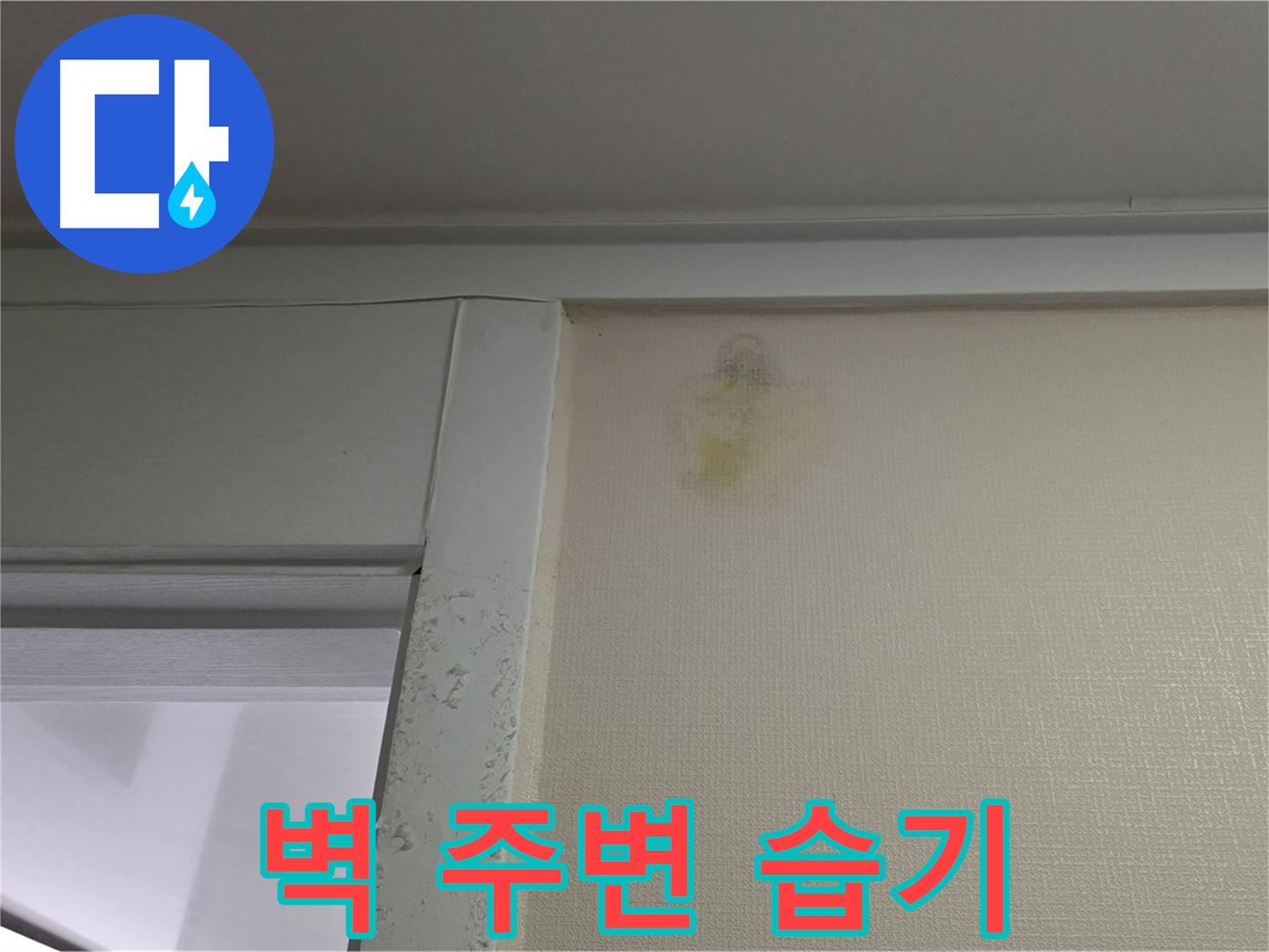 성남 분당 운중동 산운마을 아파트 벽 주변 습기 - 누수 가능성 진단