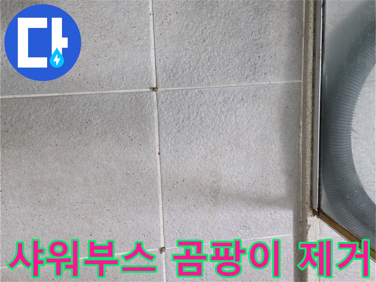 성남 분당 운중동 욕실 샤워부스 - 타일 틈새 곰팡이 제거로 쾌적한 환경을 만듭니다.