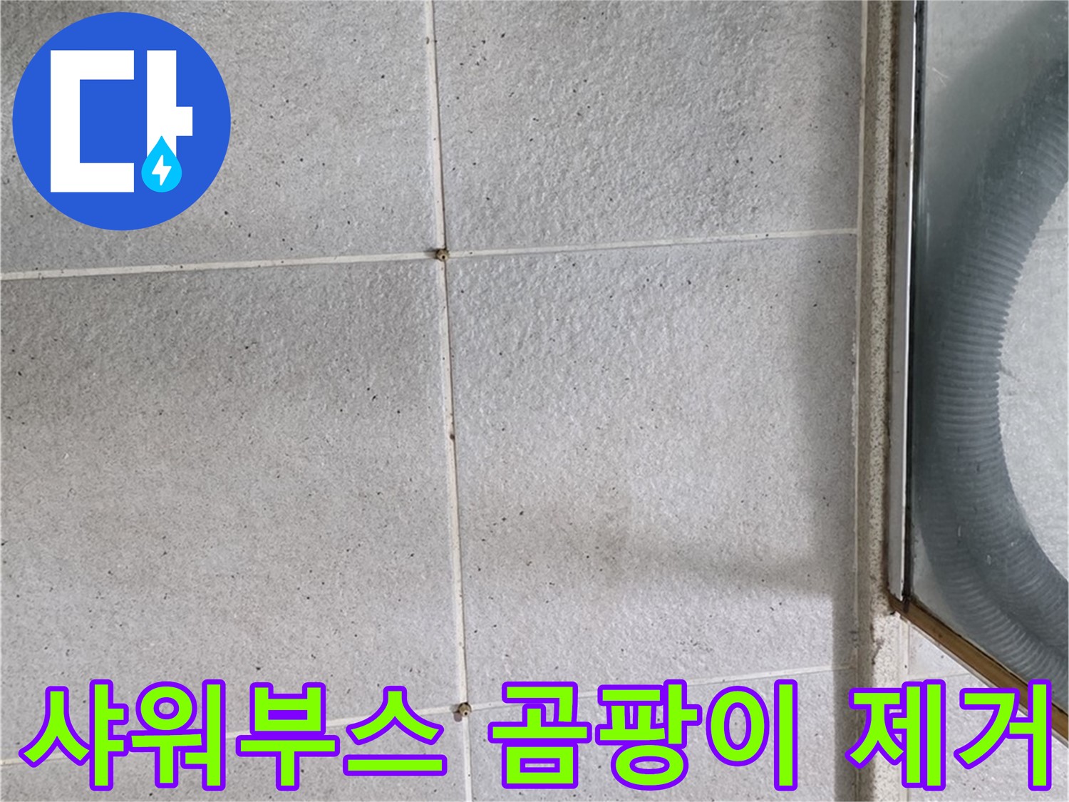 성남 분당 운중동 욕실 샤워부스 - 타일 틈새 곰팡이 제거로 쾌적한 환경을 만듭니다.