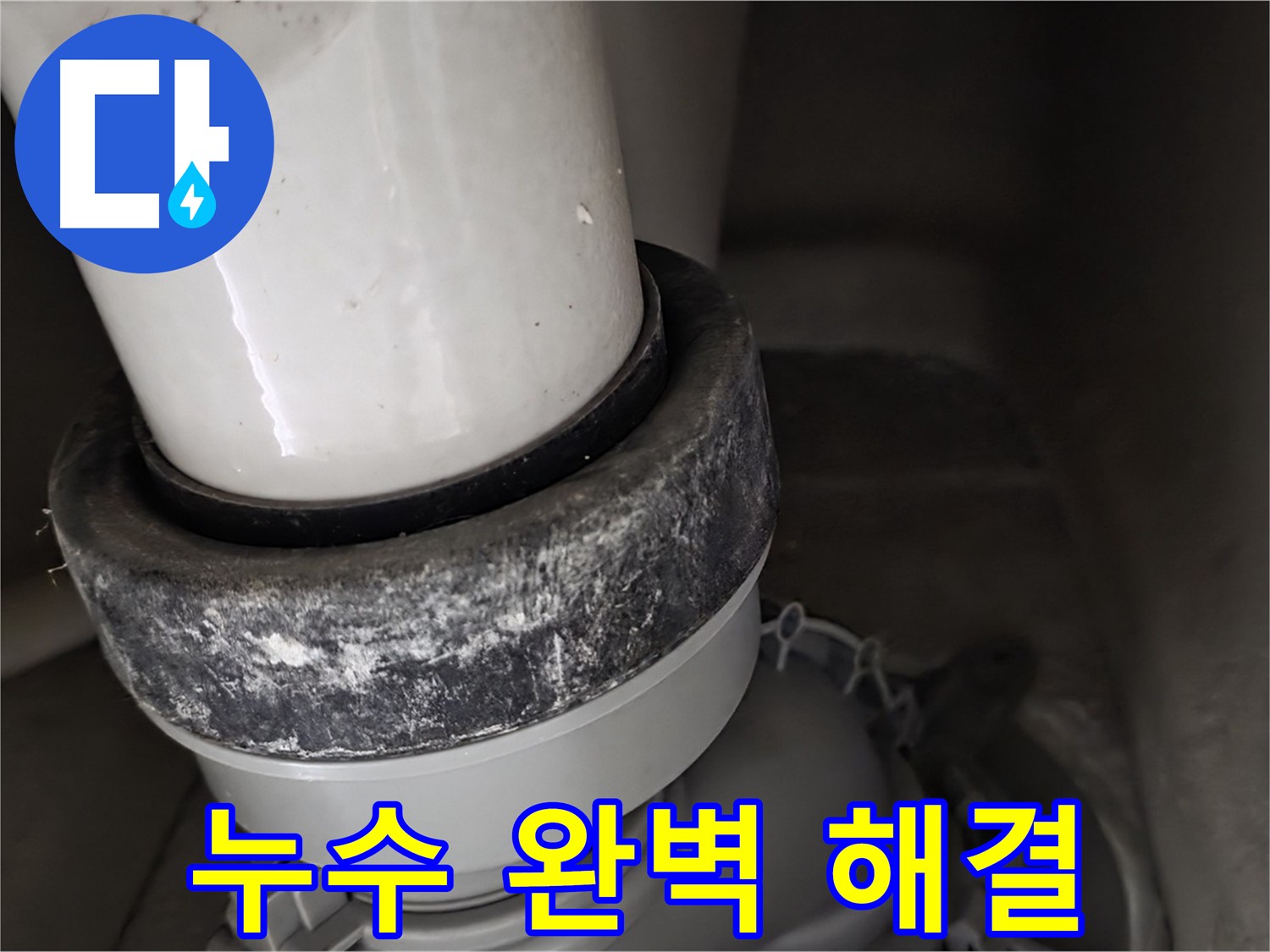 성남시 분당구 운중동 산운마을 변기 누수 - 배수구 누수 완벽하게 해결 완료