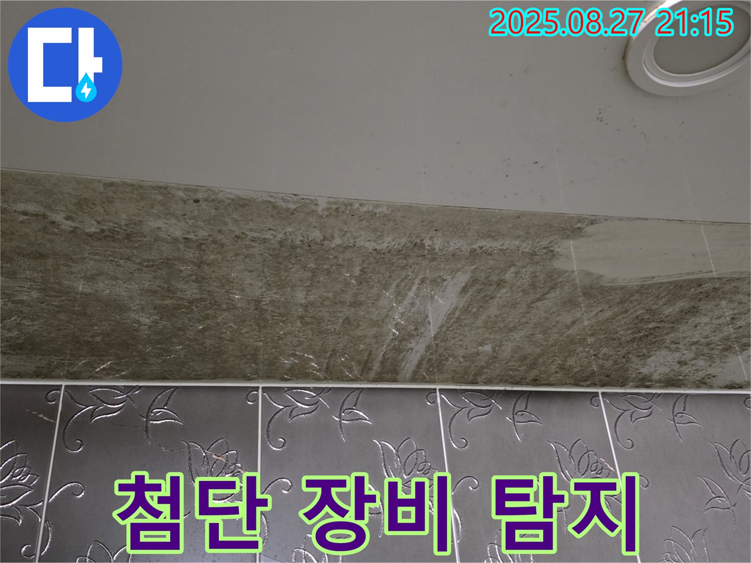 성남시 분당구 운중동 산운마을 아파트 - 곰팡이 핀 천장 누수, 최첨단 장비로 숨은 누수까지 정확하게 탐지합니다.