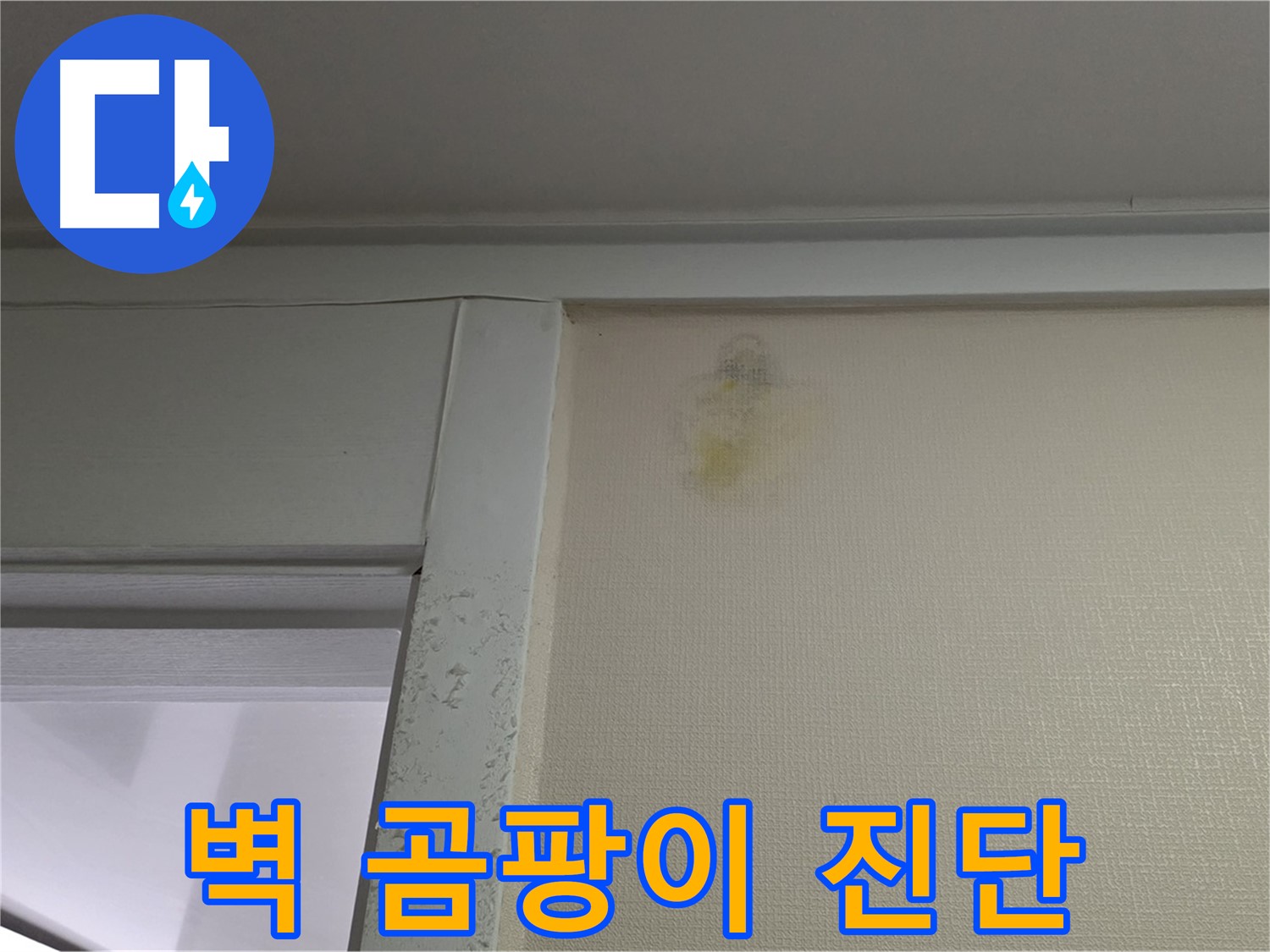 성남시 분당구 운중동 산운마을 아파트 벽 곰팡이 - 누수 초기 의심 및 정밀 진단 진행