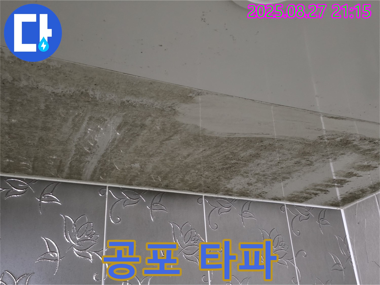 심각한 천장 곰팡이 - 곰팡이 공포를 완전 타파하기 위해 24시간 대기 중인 이미지입니다.