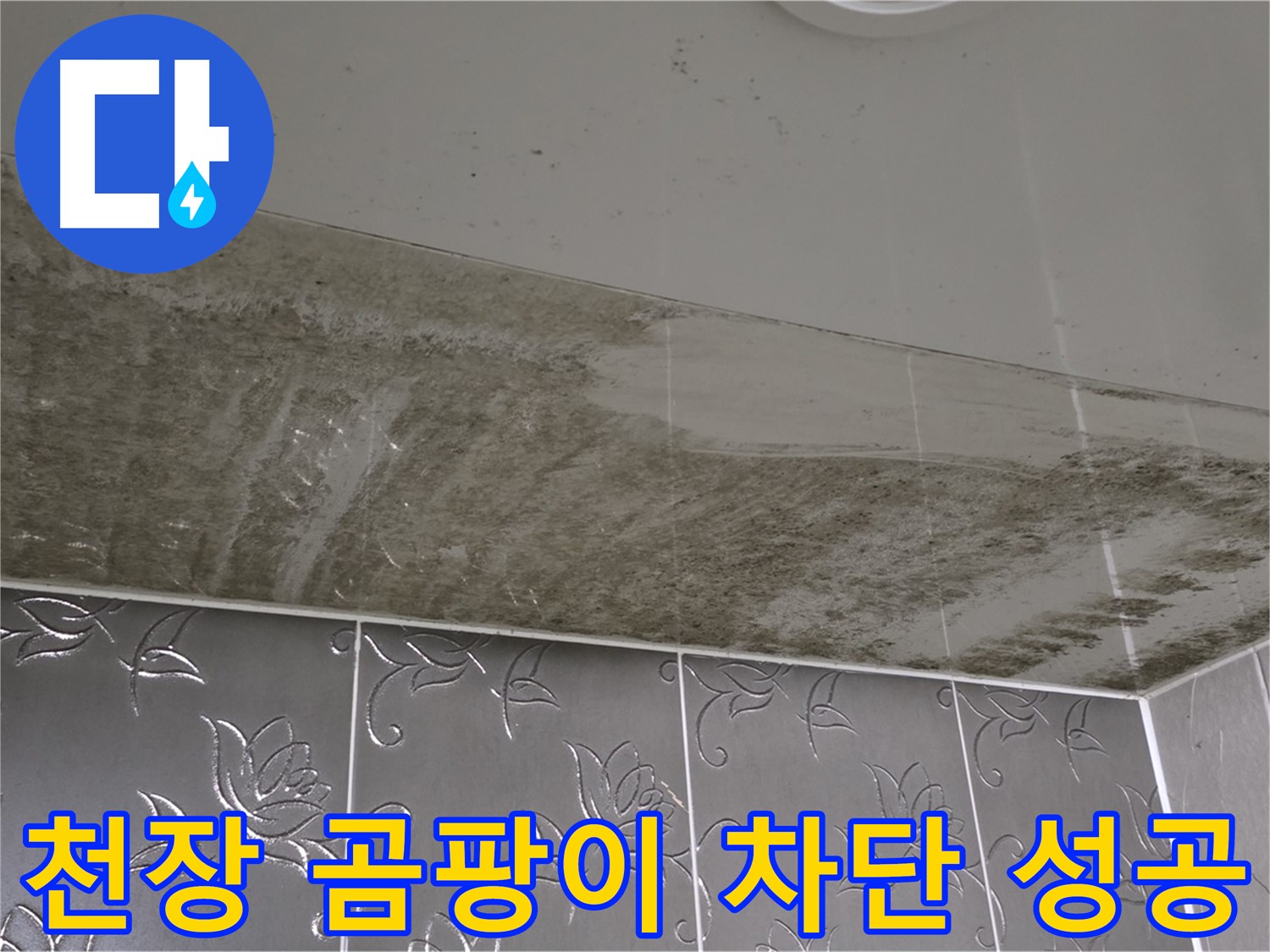 욕실 천장 곰팡이 - 누수 원인 해결 후 완벽하게 차단 성공