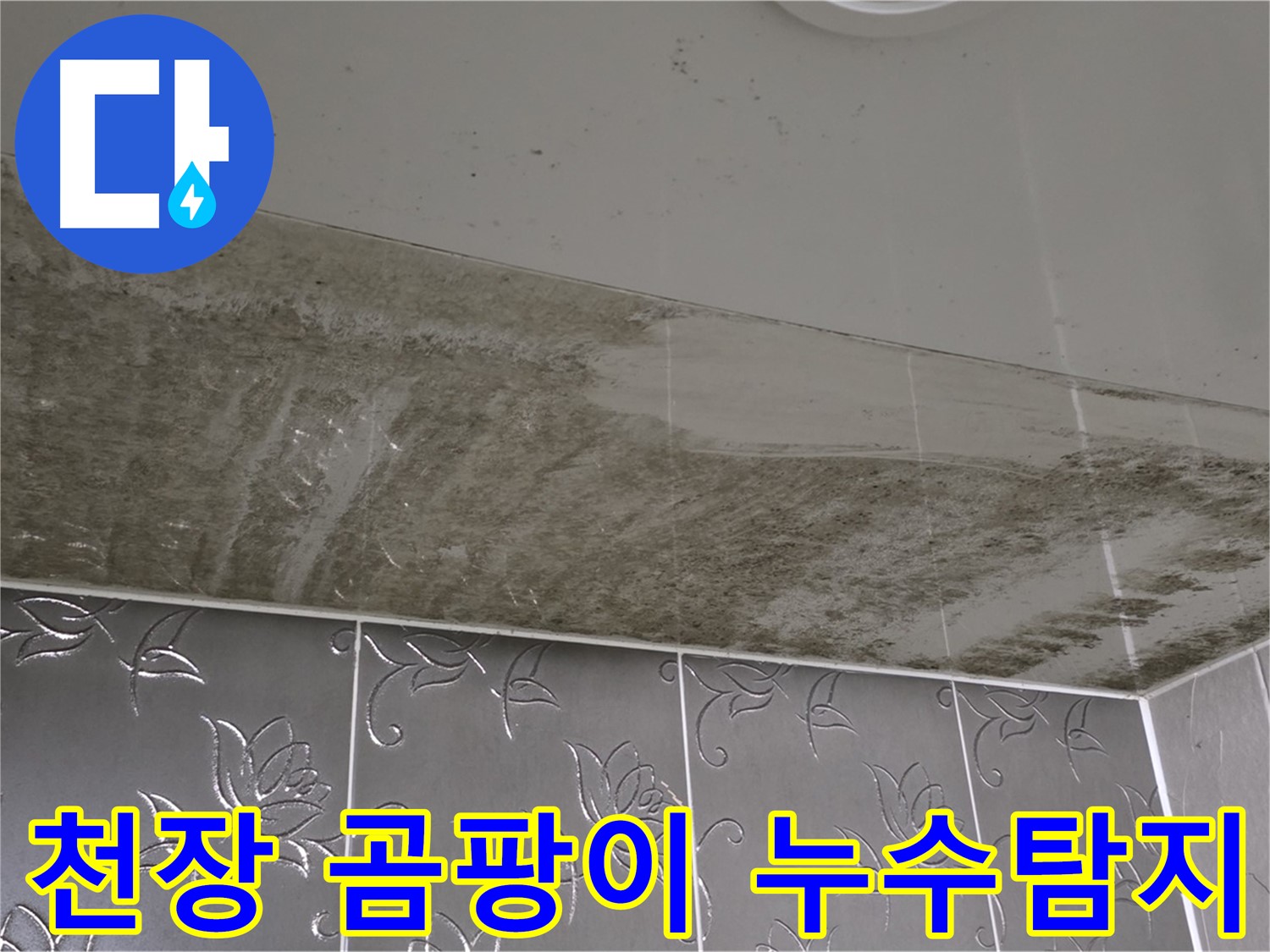 욕실 천장 곰팡이 - 누수 지점을 찾기 위한 정밀 탐지 작업