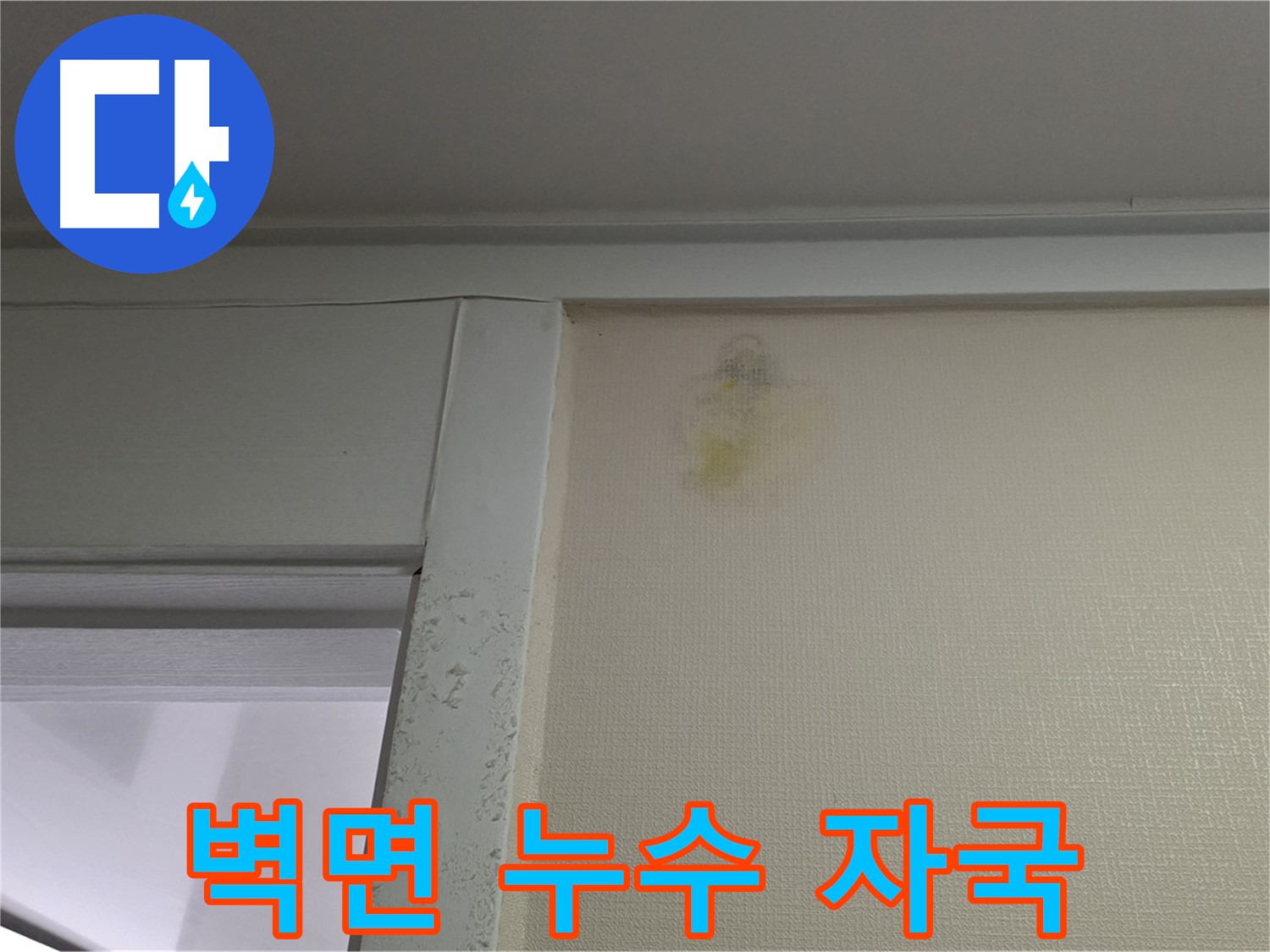 운중동 산운마을 6단지 아파트 벽면 누수 자국 - 전문적인 누수 탐지 및 해결 과정