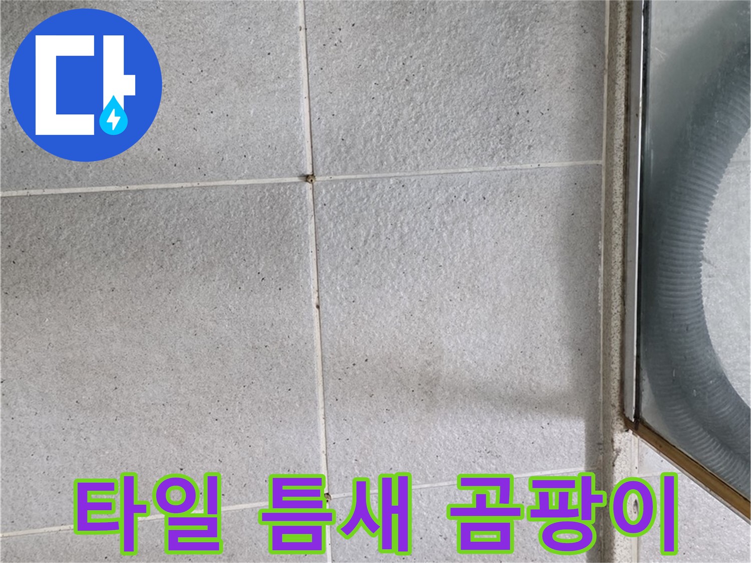 운중동 욕실 벽 타일 틈새 - 습기와 곰팡이가 초기 단계로 발생한 모습입니다.