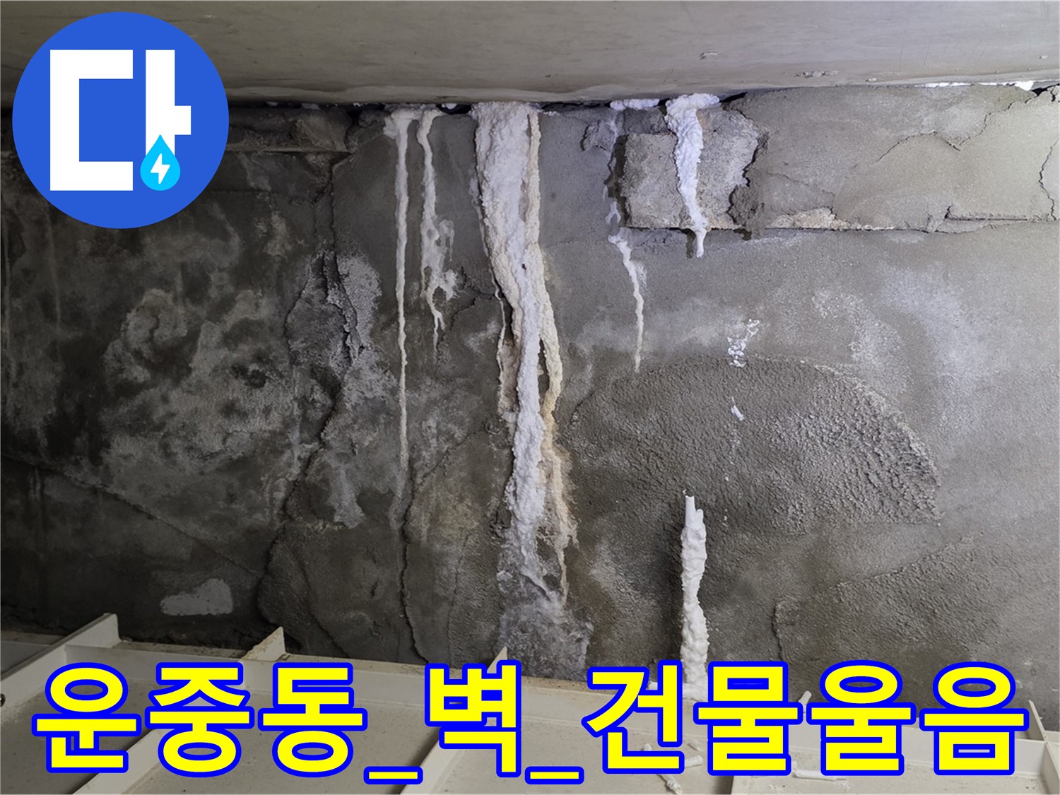 운중동 콘크리트 벽 - 석회수 눈물, 건물 전체가 울고 있어요