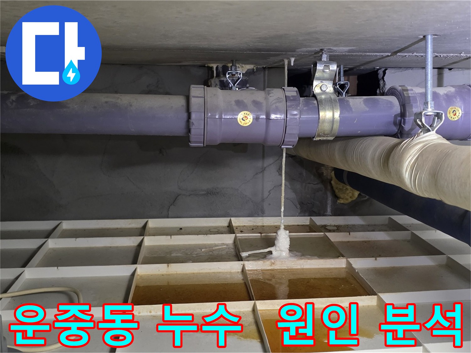 분당구 하수 배관 누수로 인한 석회 고드름 - 원인 분석 및 재발 방지 꼼꼼 시공
