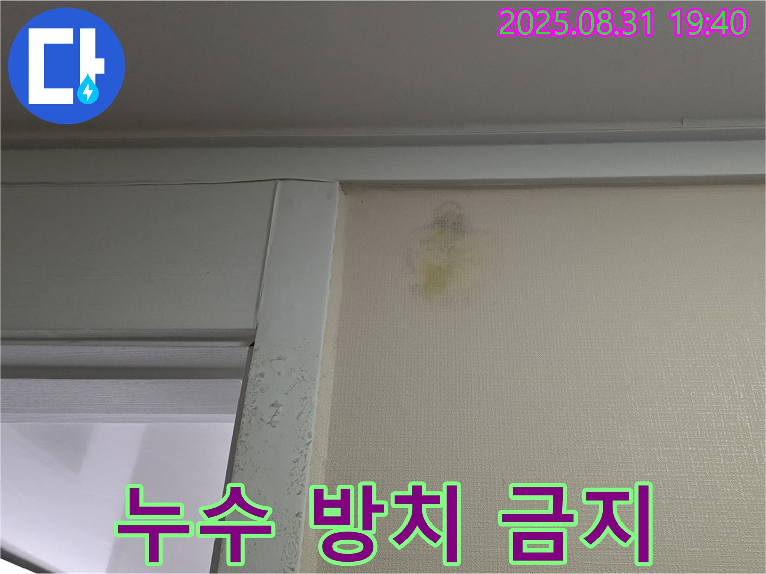 누수 방치 금지 - 성남 분당 산운동 누수 - 전문가 해결