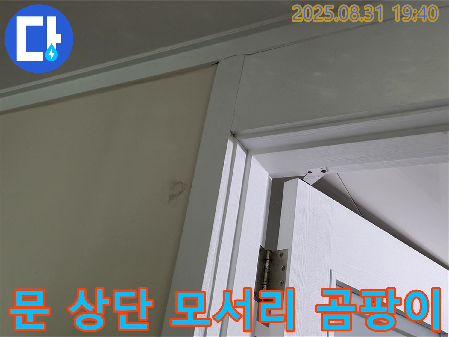 문 상단 모서리 곰팡이 - 문 상단 모서리에 곰팡이가 발생했습니다.
