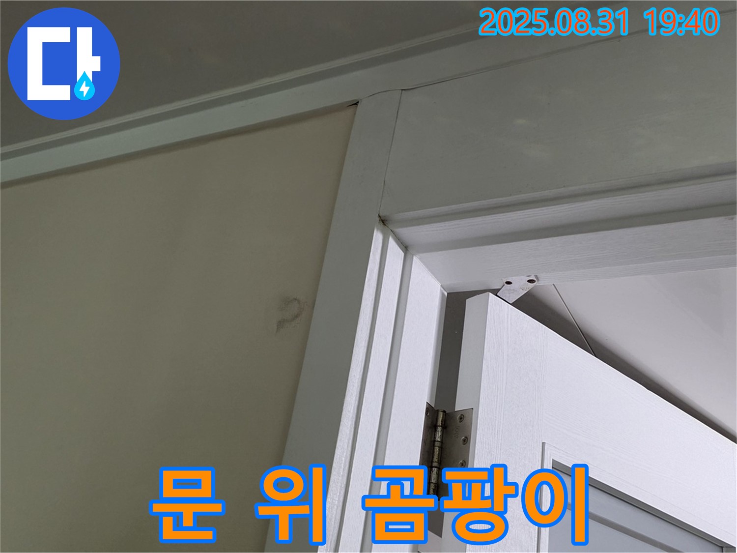 문 위 곰팡이 - 문 위 천장에 곰팡이가 발생했습니다.