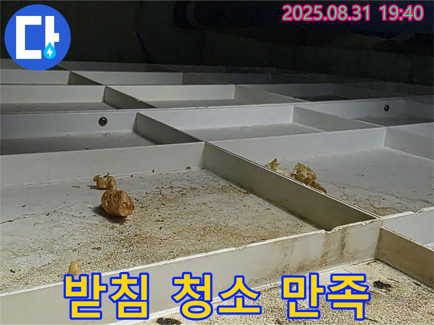 분당 구미동 누수 - 천장 배수 받침 청소, 고객 만족을 최우선으로 생각합니다.