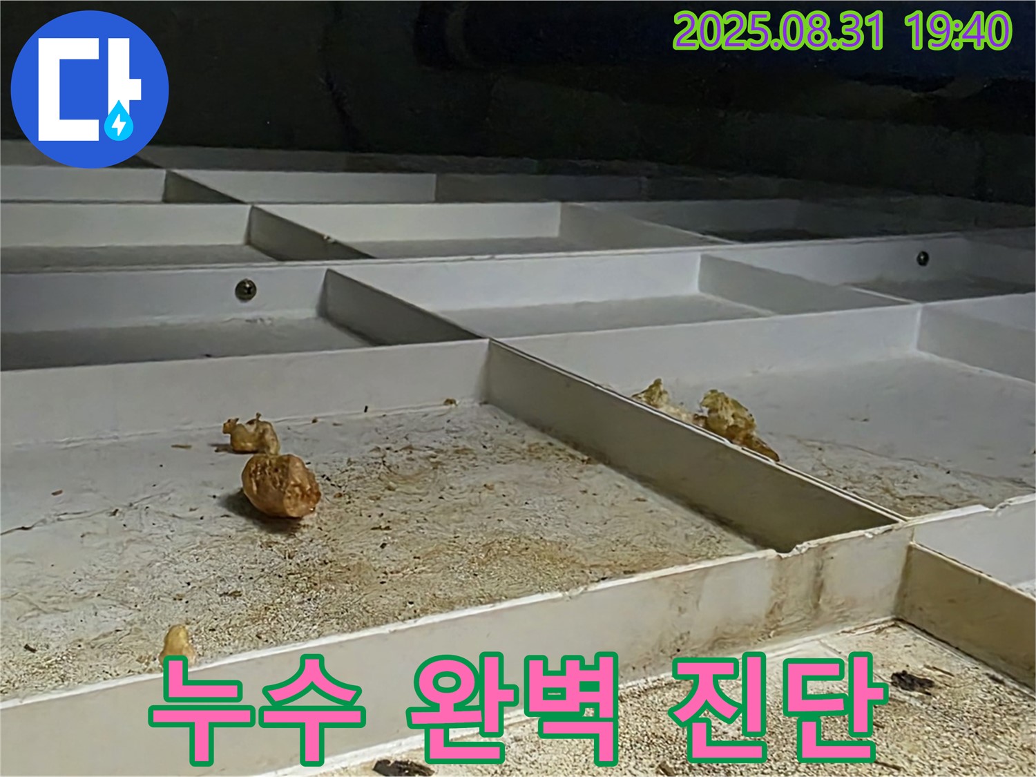 분당 누수 - 산운로 누수 문제 완벽 진단 과정
